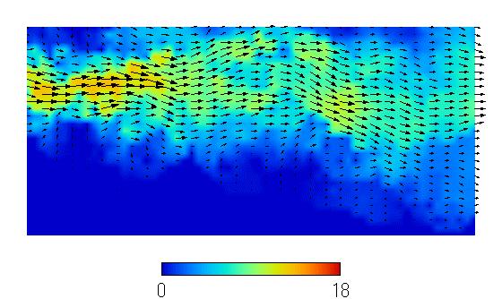 Velocity distribution (10,000Hz) Hayami et