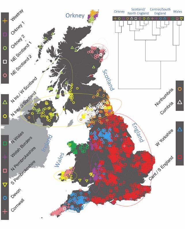 Particularly striking is the distribution of the large cluster of people (red squares) that covers most of eastern, central and southern England and extends up the east coast.