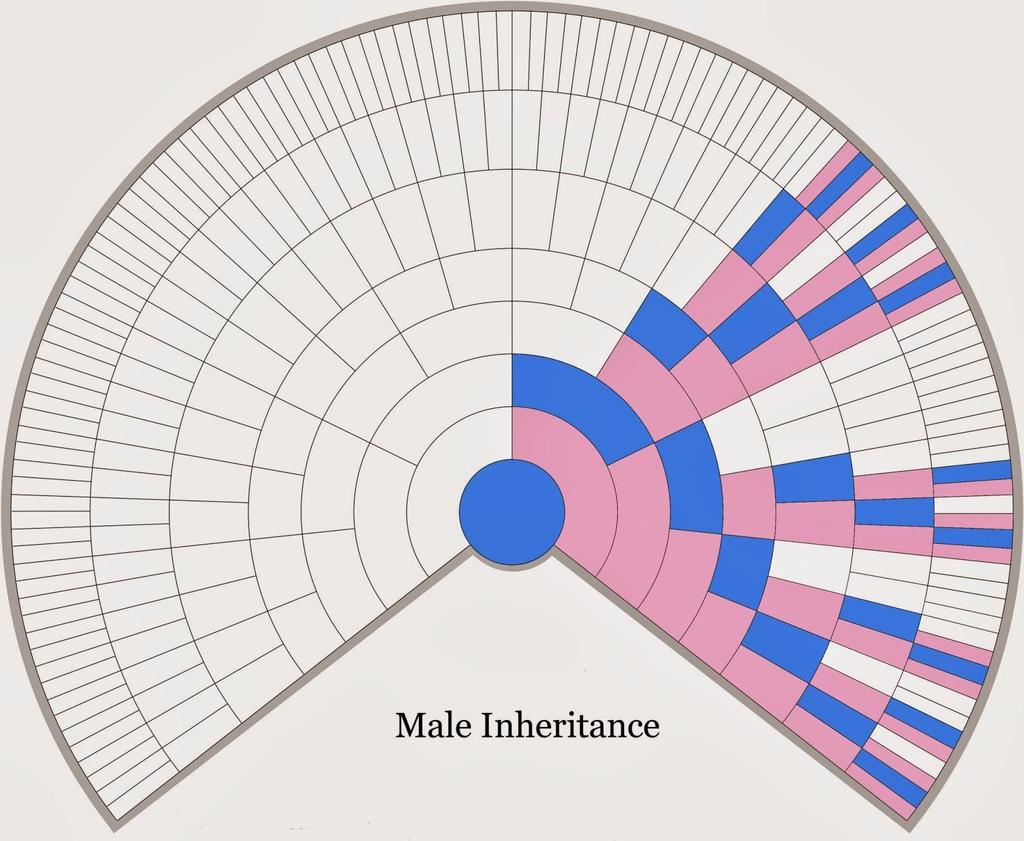 X Chromosome xdna Inheritance in a Male 1-1-2-3-5-8-13-21.