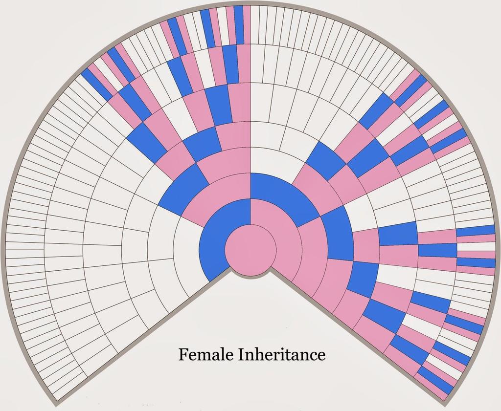 X Chromosome xdna Inheritance in a Female 1-2-3-5-8-13-21-34.