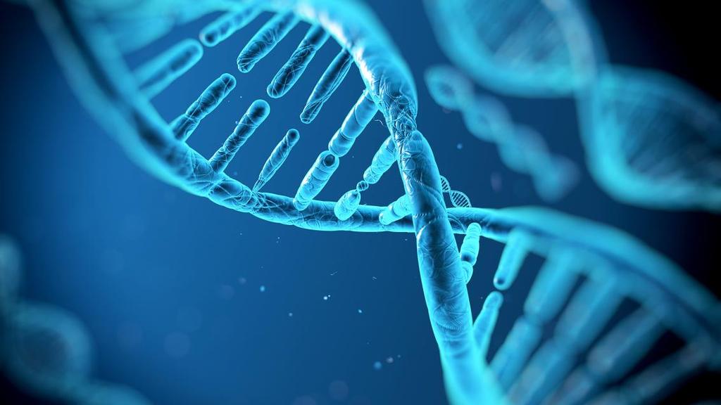 (Very) Basic Genetics DNA, the building block of life, is packed into each human cell Each length of a DNA sequence that specifies a feature of your