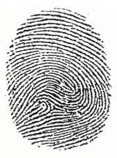 PART 3 Physical Evidence (10%) ( / 8) Compare the fingerprints found at the scene to the fingerprints taken from each suspect: Which suspect matches fingerprint 1?