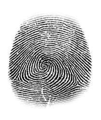 Fingerprint 1 Which suspect matches fingerprint 2?  Fingerprint 2 Questions: Which suspect matches fingerprint 1?