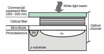 4.2.2 Array of Highly Selective Fabry Perot Optical Channels for Biological Fluid Analysis by Optical Absorption Using a White Light Source for Illumination A group at Delf University in the