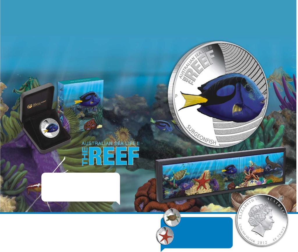 Australian Sea Life II The Reef Surgeonfish 2012 1/2oz Silver Proof Coin Third release in the Sea Life II series a real stunner. Full Series Subscription Available.