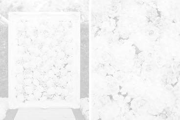 Decorate your Venue with our Gorgeous 6ft x 3ft Rococo Flower Flower Wall