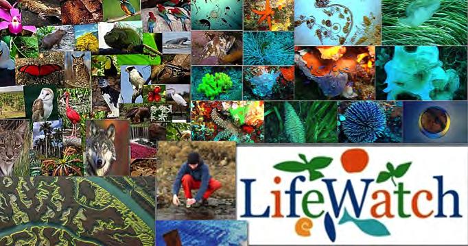 Environment ESFRI LANDMARKS 2 LifeWatch e-infrastructure for Biodiversity and Ecosystem Research An e-infrastructure to support research for the protection, management and sustainable use of