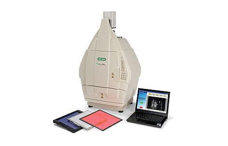 Bio-Rad ChemiDoc XRS and Image Lab Software Jump to Export Images to other Apps Floid cell imaging station Life technologies Jump to Chemi-luminescence Protocol