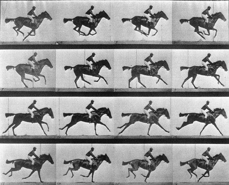 EADWEARD MUYBRIDGE, Horse Galloping, 1878.