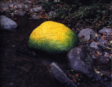 Andy Goldsworthy, Bolder covered