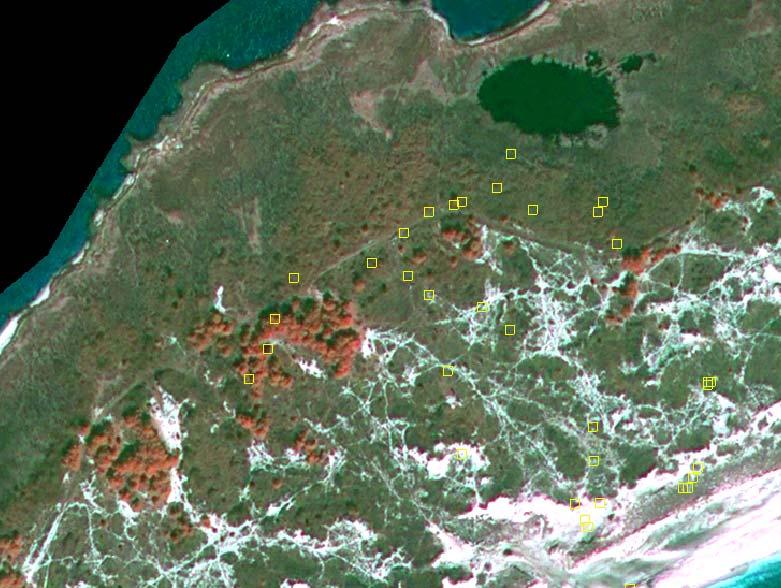 Landsat Imagery 