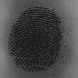 Fingerprint recognition systems, which are usually designed for fingerprints originating from a certain sensor, also suffer from the sensor interoperability problem.