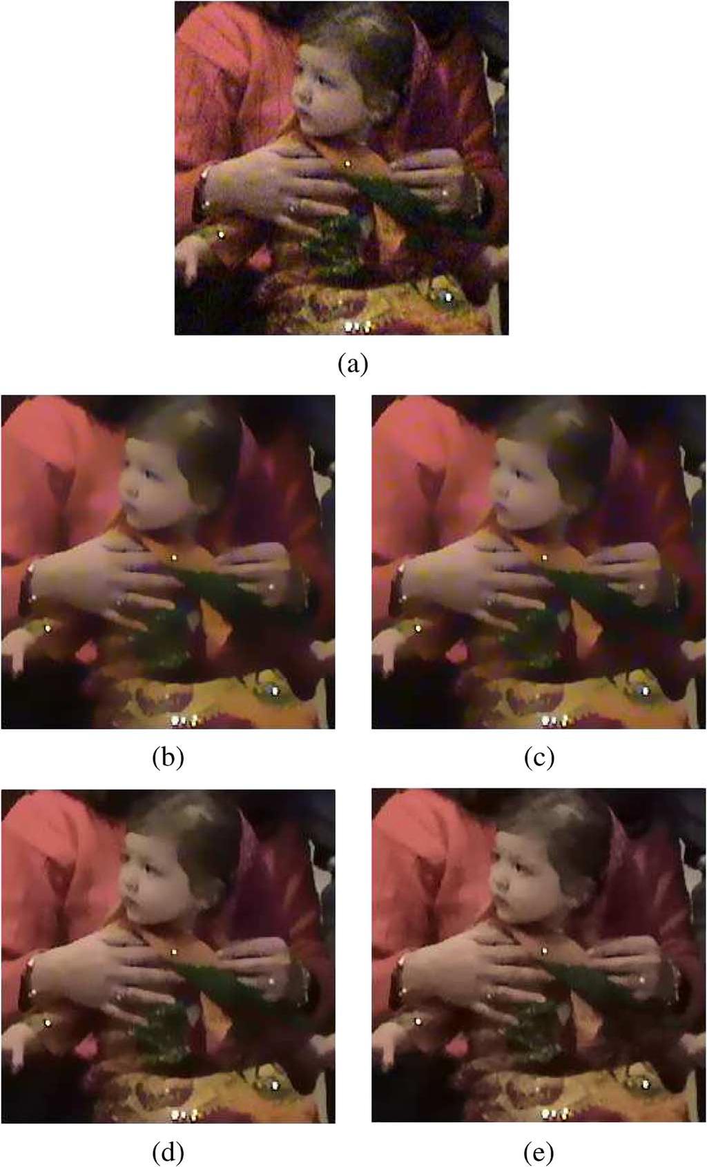NOISE SIMULATION Fig. 7. Input images to be denoised using various algorithms. The top-left image is the blue channel of an image captured with Sony DCR-TRV27.