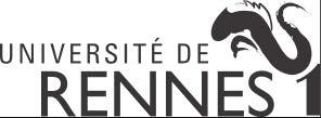soutenue à Rennes le 17 Mars 2016 devant le jury composé de : Céline LOSCOS Professor, Univ. de Reims / Présidente Alan CHALMERS Professor, Univ.