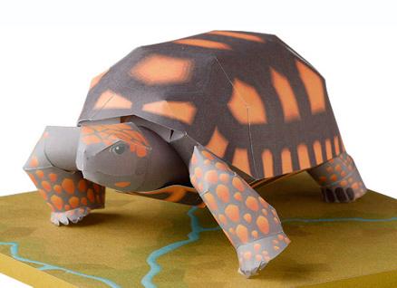 Vol. Yellow Footed Tortoise Thank you for downloading this paper craft model of the Yellow Footed Tortoise.