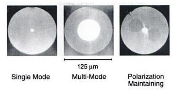 Figure 15: Single-mode Signal Path [14] There are also some special optic fibers that are fabricated such as polarization maintaining fiber.