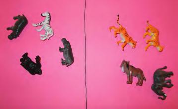YEAR 2 WEEK 2: ANIMALS Find 1/2 of a set of objects. Give each pair a selection of animals in a bowl.