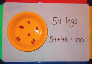 YEAR 4 WEEK 4: ANIMALS Count in multiples of 6 from 0 to 100. Find relationships with numbers. Place different minibeasts (with six legs) in bowls.