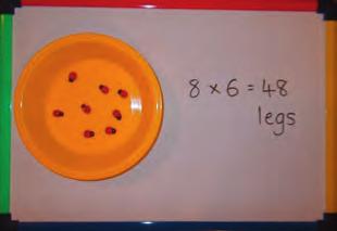 Place different paired minibeasts in bowls. Children work in pairs and take turns to write the number sentence that represents the multiples of 12 shown in the bowl. E.g.