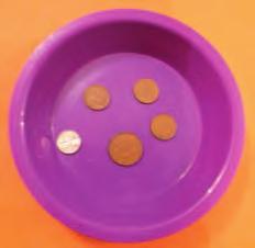 Count to 10p using the different coins as counting steps, e.g. two pence, four pence, six pence, eight pence, ten pence.