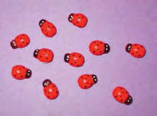 Ask the children to count the number of objects, then represent the quantity using cubes. How many ladybirds are there?