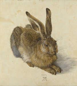 Albrecht Dürer Title: Hare Date: 1502 Physical Dimensions: 25 x 22,5 cm