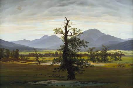 The Lonely Tree Painting by Caspar David Friedrich, 1822 The Lonely Tree is an 1822 oil-on-canvas painting by German painter Caspar David Friedrich. It measures 55 71 centimeters.