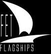 Example 2 - FET Flagships Driven by unifying goal Multidisciplinary Long-term Foundational Collaborative research initiatives Targeting a visionary S&T breakthrough - Able to generate waves of