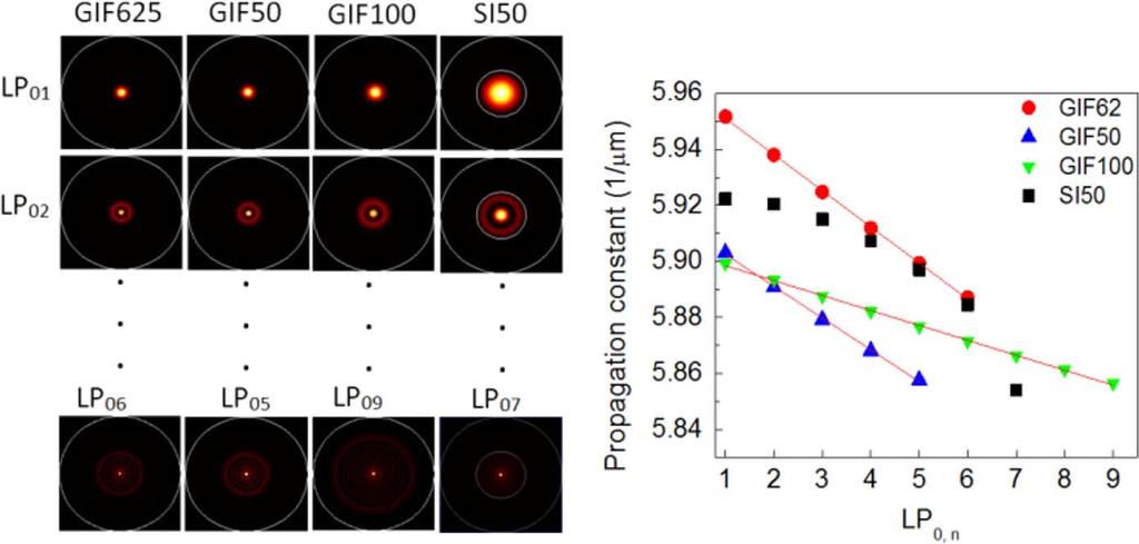 HOFMANN et al.: DETAILED INVESTIGATION OF MODE-FIELD ADAPTERS 2291 Fig. 1. (Left) Circularly symmetric modesingimfsandsi50stepindexfiber with comparable core diameter.