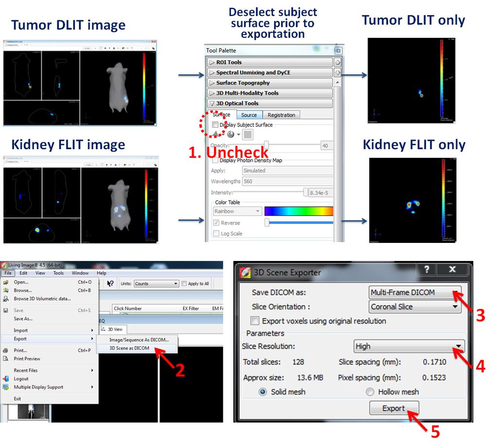 IVIS Spectrum: Exporting Optical DICOM Files The IVIS Spectrum system acquires two types of 3D optical images: (1) DLIT for bioluminescence imaging, and (2) FLIT for fluorescence imaging. 1.