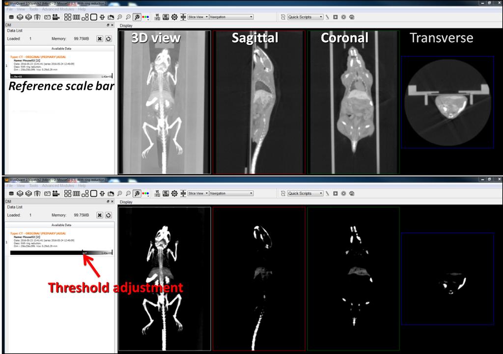 Adjusting microct Data Using the VivoQuant Viewing Interface Once the microct image is loaded, four image panels will be present on the right-hand side in the Navigation window of VivoQuant.