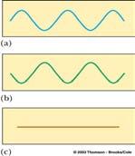 Constructive Interference in a String Constructive Interference Two pulses are traveling in opposite directions The net displacement when they overlap is the sum of the displacements of the pulses