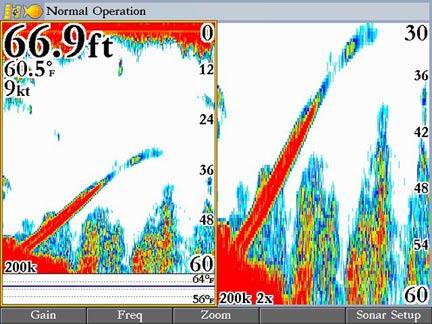 To view the Sonar Page: Press Page repeatedly until the Sonar Page appears. Use the Fish Symbols option to view the actual sonar data, fish symbols, or a combination of both.