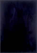 3 cm) Blue Devils, 2014 110 1/8 x 78 1/8 in