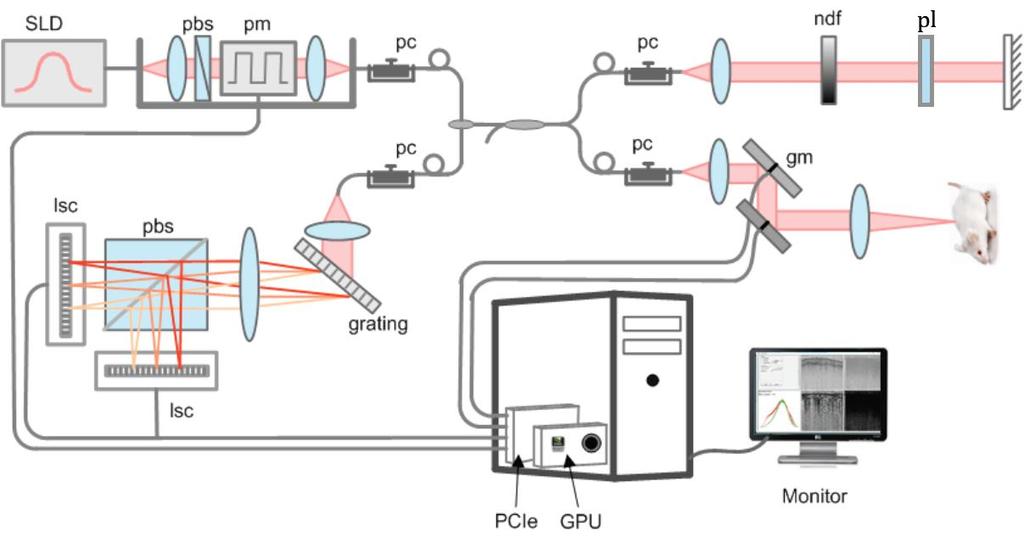 to a fiber circulator (Thorlabs Inc.) and an 80/20 fiber splitter (AC Photonics Inc) with a polarization controller (pc).