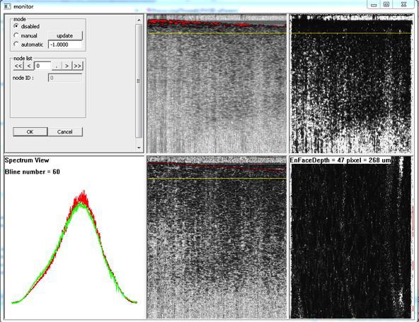 Fig. 2. Snap-shot of the GUI of the real-time data acquisition program during imaging of a mouse brain with a thin skull preparation.