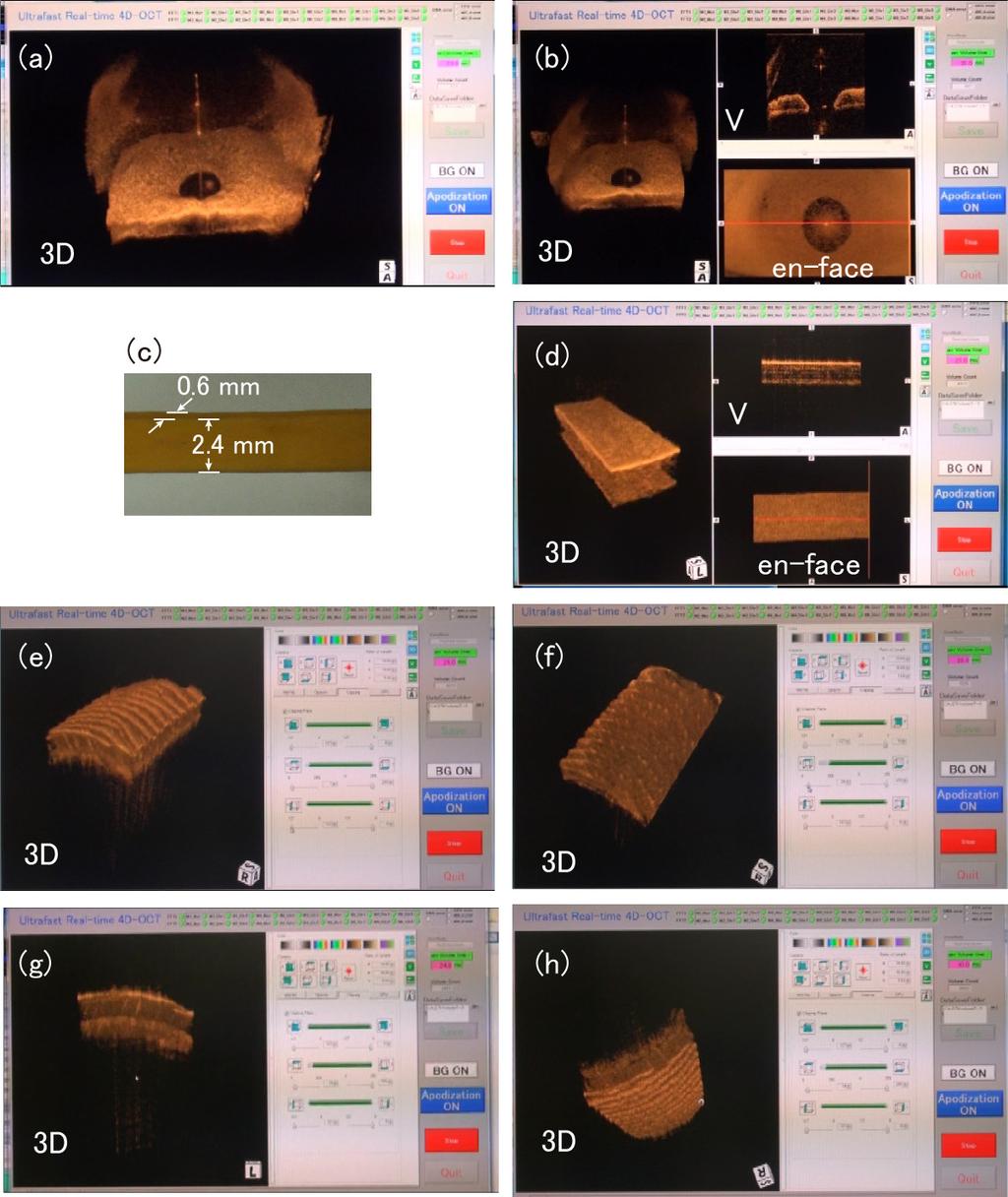 Fig. 12. Representative frames of videos of 4D real-time OCT display.
