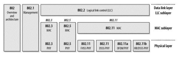 IEEE 802 Layers The IEEE 802