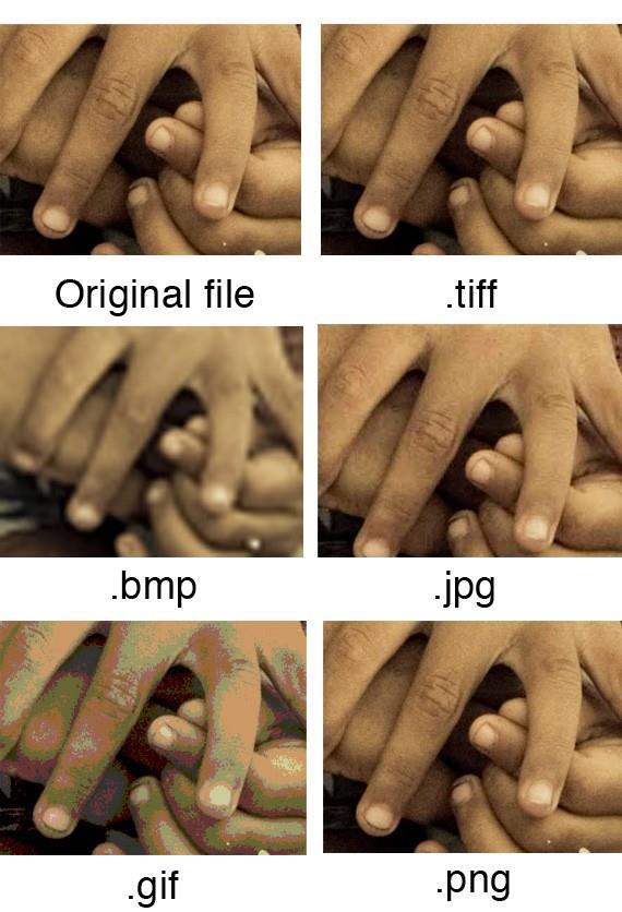 JPEG: the most widely used type of image file. Popular because JPEG images are relatively small and therefore easier to store, upload, share etc.