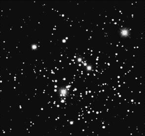 Figure 7. Image of the Southern Cross with Jewel Box obtained form a Matsutov-Bowers Star Tracker with a 7 degree field of view.