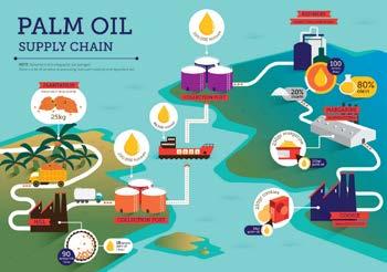 org/infographics/ If it s grown sustainably, palm oil production can benefit local communities, and help to protect valuable species and forests.