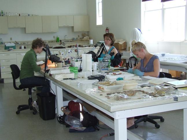 Figure 8: Conservation staff, volunteer and intern stabilizing artifacts.