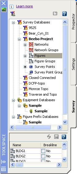 Toolspace Survey Tab Overview The survey data has its own tab in Toolspace. You can use the Survey tab to manage survey data and feature settings.