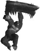 For example, Kong can catch hold of a branch in order to jump over a chasm.