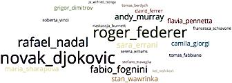 Figure 5: Tag cloud about the tennis player concept. Twitter, hashtags and smiles are often used in the social network.