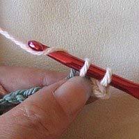 Hook the yarn and pull it through the loop.
