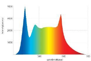 Sadly, the majority of LED lamps on the market favour blue and yellow wavelengths which are not suitable for the vision process.