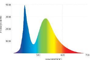 Comparison of light spectra Sunlight Correct lighting to protect vision Standard LED light The energy of the bluegreen wavelengths is the largest.