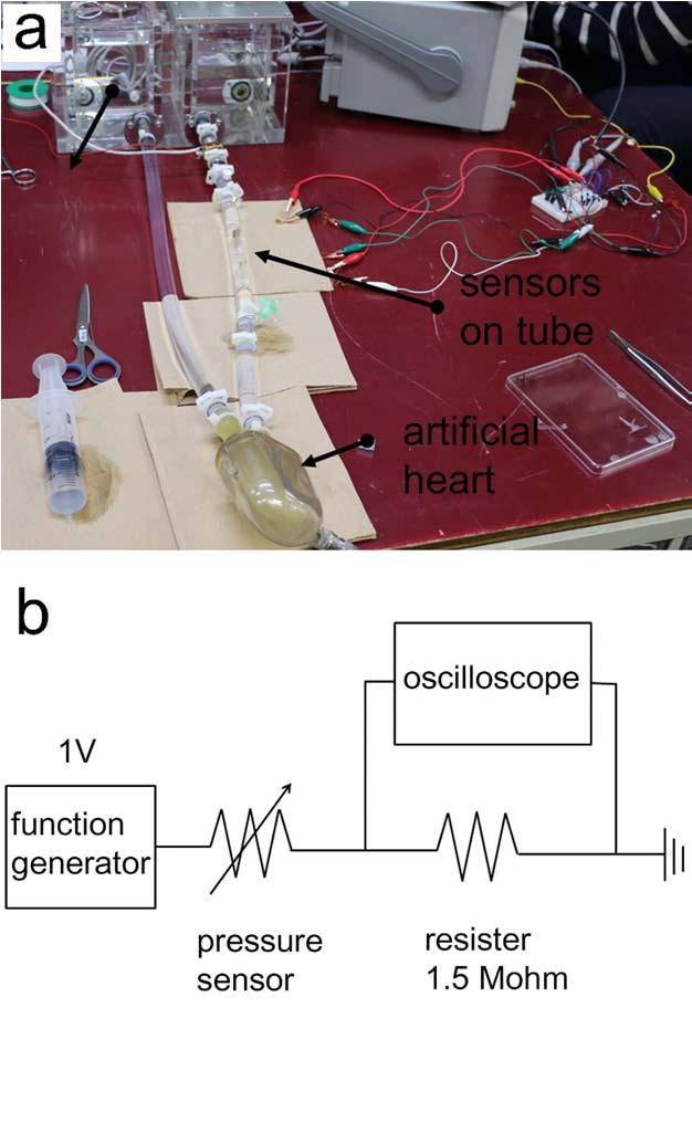 Supplementary Figure 16. Experimental setup for measurement of pressure propagation from artificial blood vessel using artificial heart. a, Photograph of measurement setup.