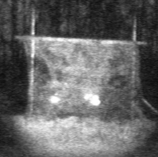 Imaging through camouflage nets is also possible with range gated